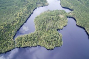 Земельный участок 13 га - целый полуостров в красивом лесном озере